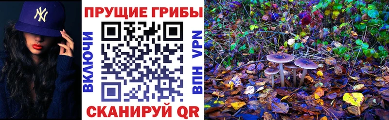 Галлюциногенные грибы прущие грибы  mega рабочий сайт  Нюрба 